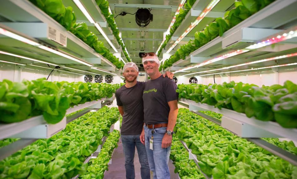 Two AmplifiedAg employees smiling in modified container farm