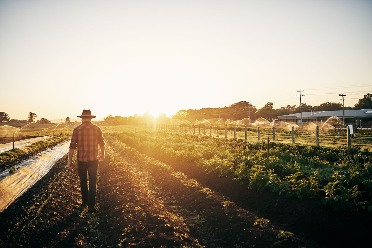 used containers for agriculture and farming