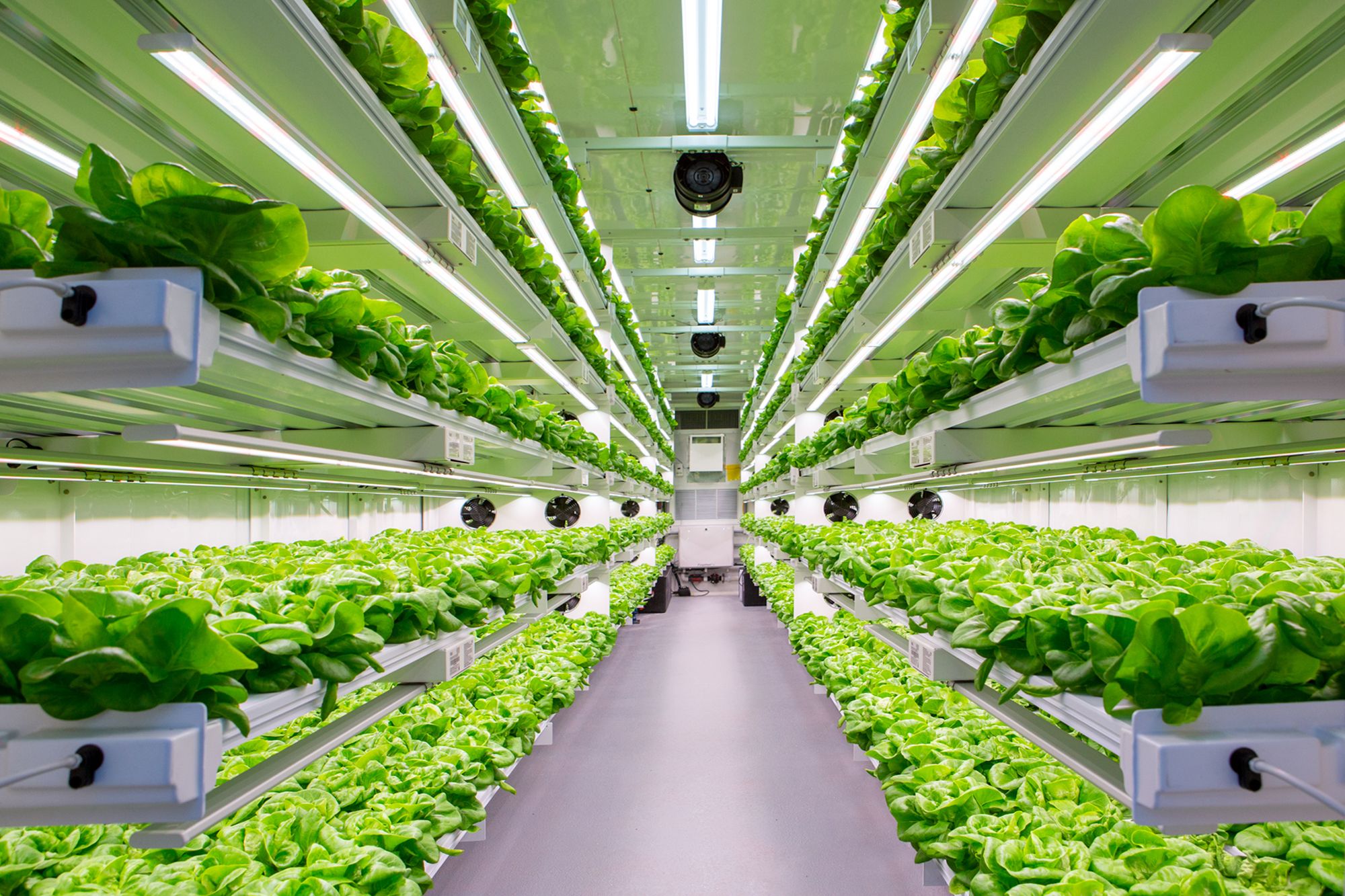 Shipping Containers for farming and growing