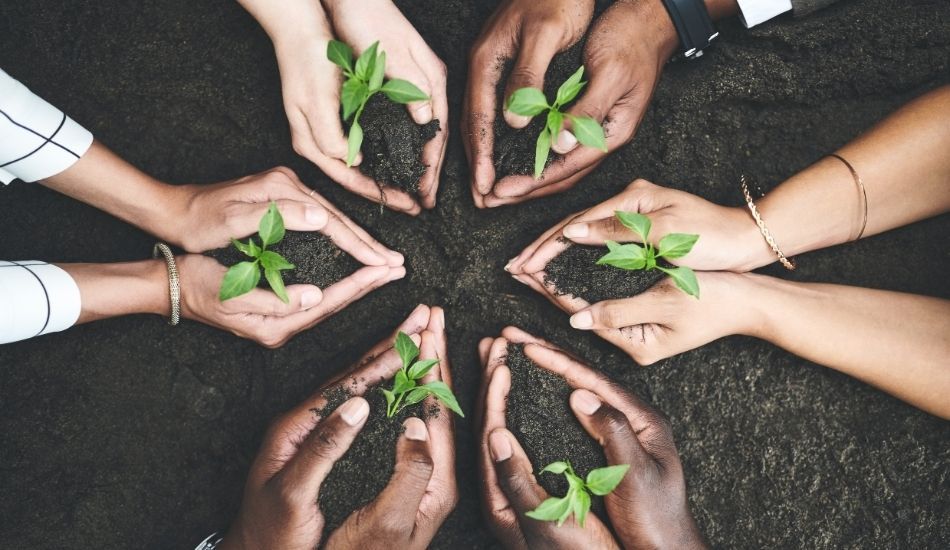 Hands planting plants in in dirt